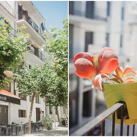 City Center Apartman *